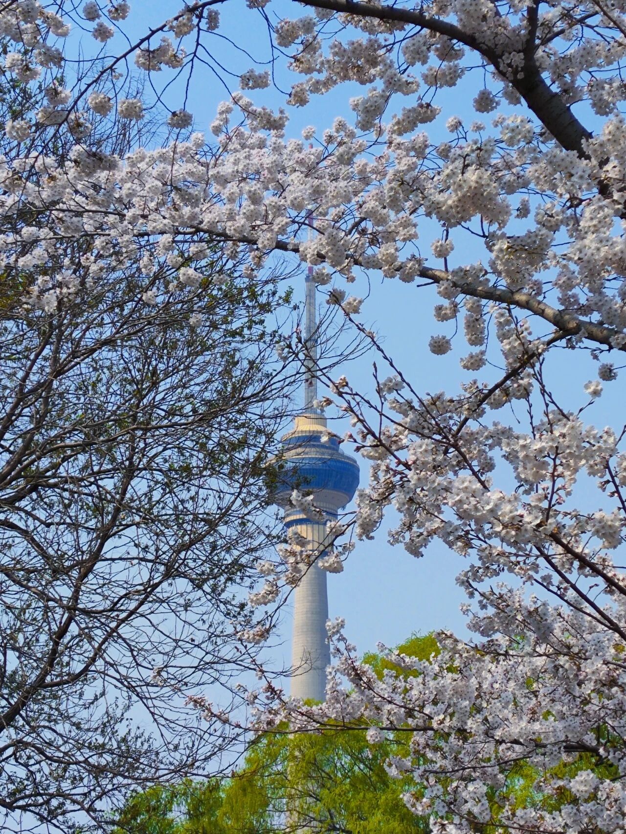微信图片_20260401150818.jpg